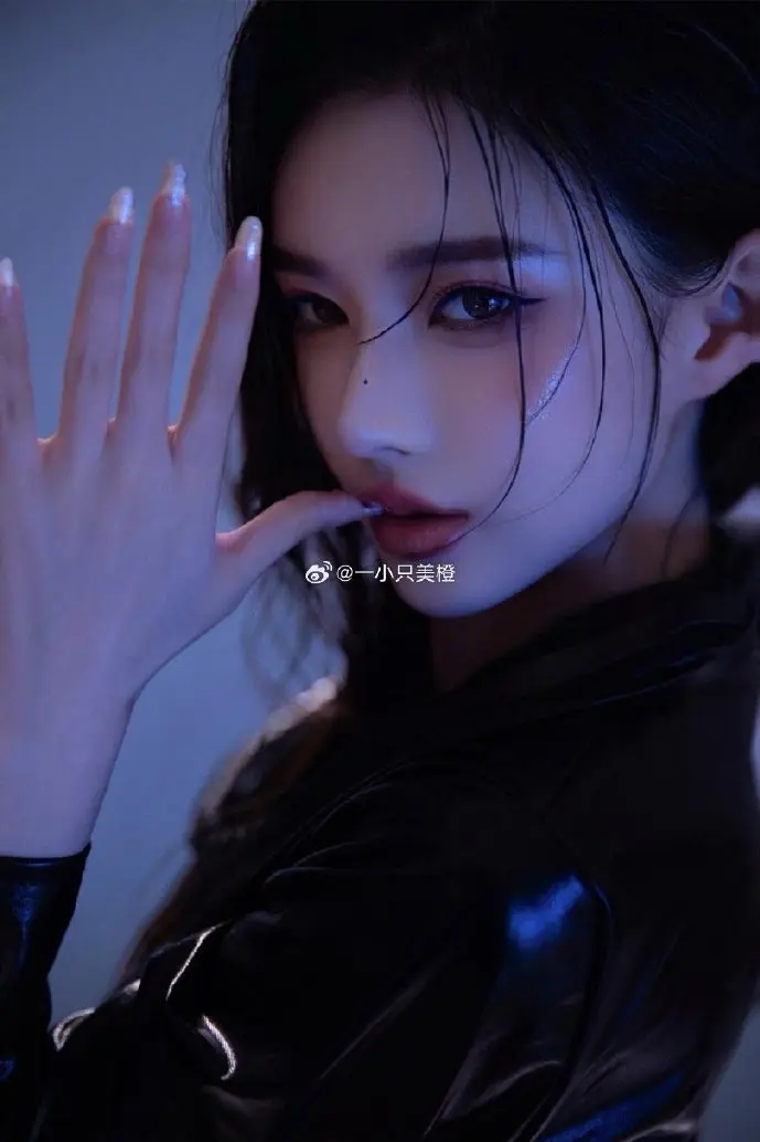 中文字幕下载数据分析